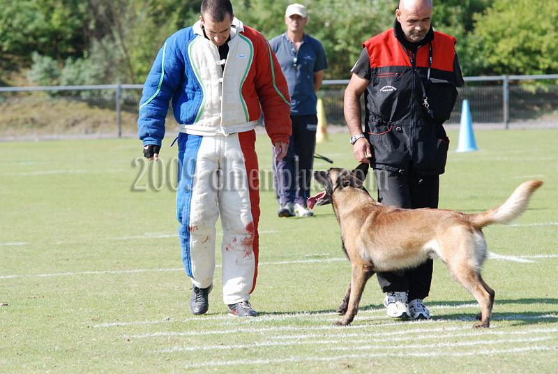 3 EME SELECTIF 2009 GRANDE SYNTHE 399.jpg